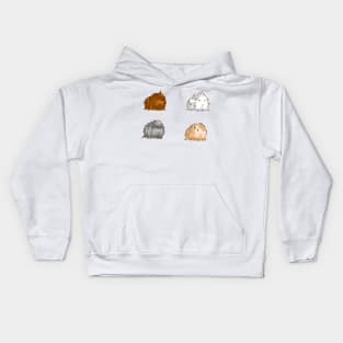 Long Haired Guinea Pigs Set of 4 Kids Hoodie